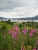 Loch Maree 