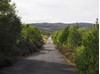 Old Road from Broadford