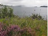 Taken from the minor road looking towards Raasay