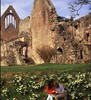 Melrose Abbey.jpg