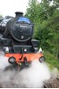 The Jacobite Steam Train