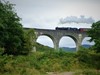 Steam Train Glenfinnian Viaduct